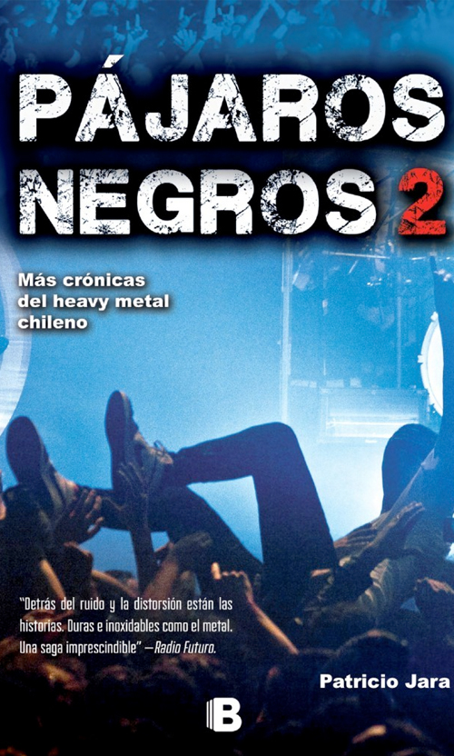 Pájaros negros 2